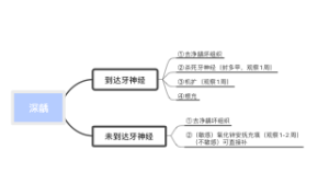 深龋