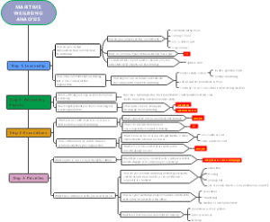 MARITIME WELLBEING ANALYSIS