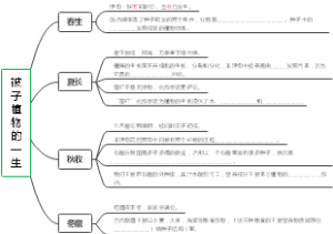 被子植物的一生思维导图考试题被子