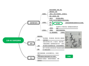 生物•练习使用显微镜 