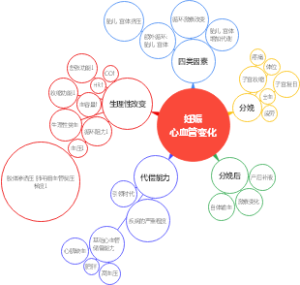 妊娠期心血管