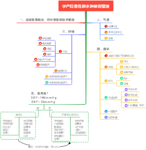 孕产妇急性肺水肿瞬时管理