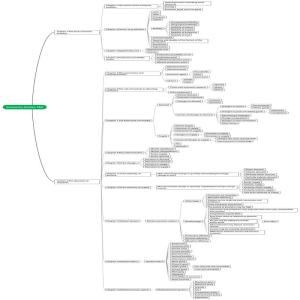 Cambridge 0455 Economic Section 1and2 mindmap