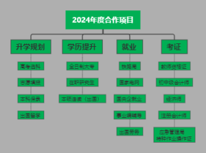 合作项目