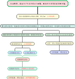 种子萌发形成幼苗