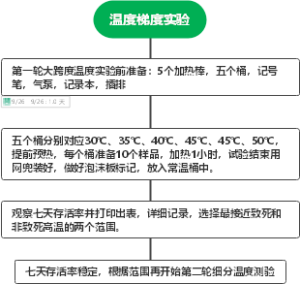 温度梯度实验
