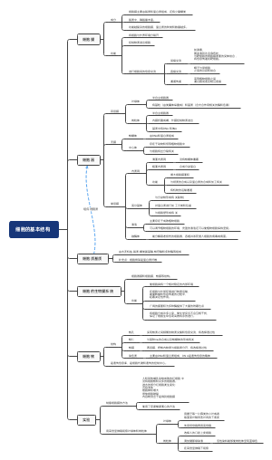 细胞的基本结构