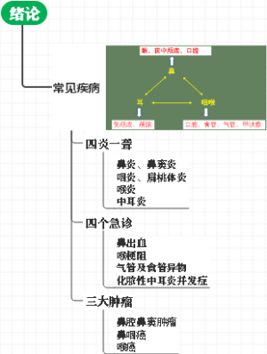 耳鼻喉 