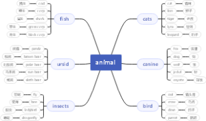 animal 动物