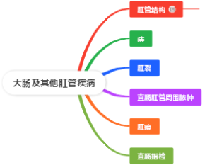 大肠及其他肛管疾病