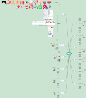 健康记录（人体器官及医疗健康图标）
