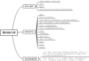 知识产权法 第三章