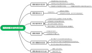 细胞的基本结构和功能