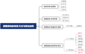 医学微生物学细菌感染的检测方法与防治原则