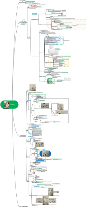 成长之痛Growing Pains——建立可持续成功组织的