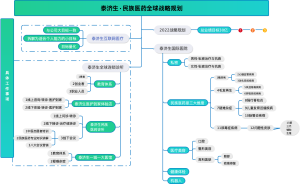 泰济生战略规划