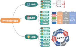 术中冰冻标本管理