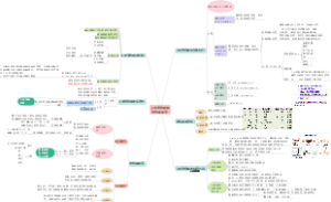 人类染色体和染色体畸变