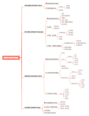显微外科解剖学基础