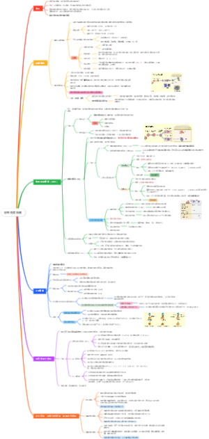 固有免疫细胞