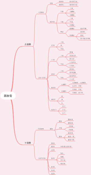四肢骨