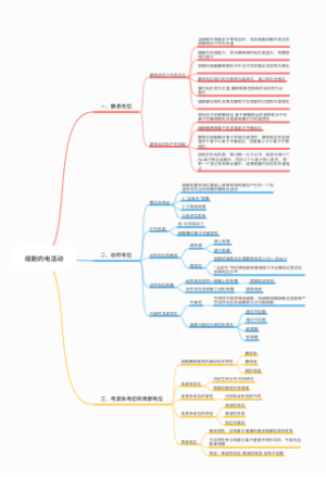 细胞的电活动