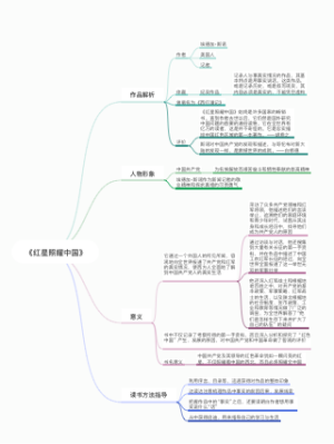 《红星照耀中国》