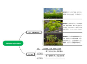 生物圈中有哪些绿色植物