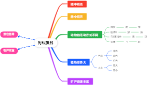 海底世界