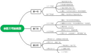 三年的规划