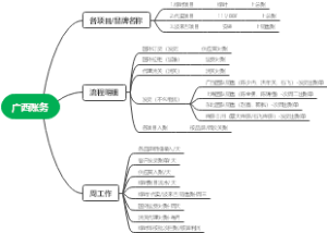 广西账务