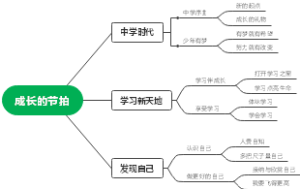 成长的节拍