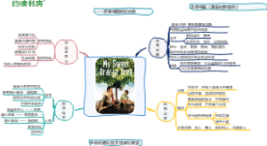 我亲爱的甜橙树