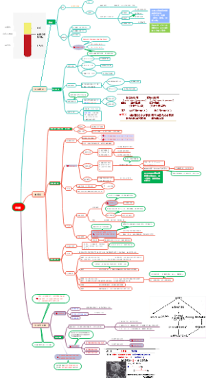 生化——血液