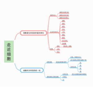 第一章 走近细胞
