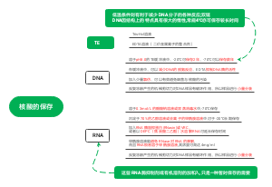 核酸的保存