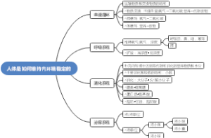 人体的内环境是如何维持维持稳定的