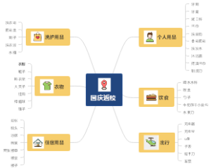 个人项目计划