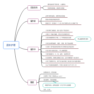 遗体护理