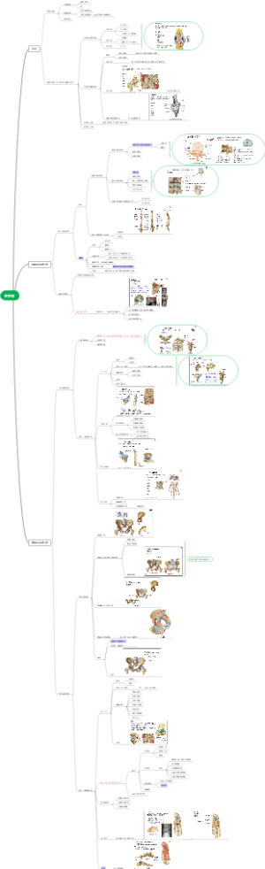 第二章关节学