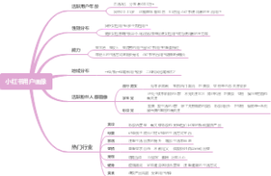 小红书用户画像导图