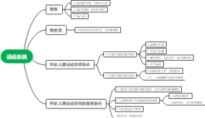 运动系统