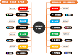MBTI类型ENFP
