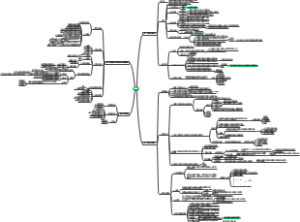 动物药理学第一章总论