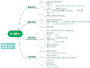 软体动物