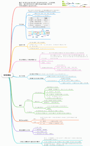 生物氧化