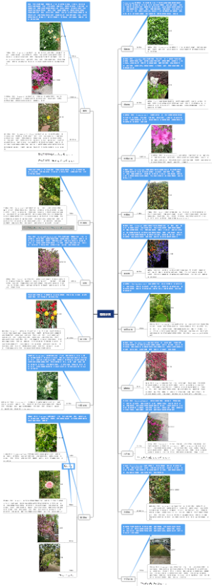 植物分类