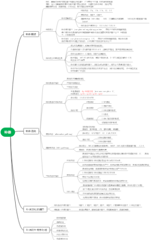 补体系统