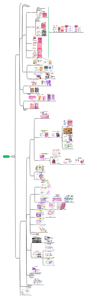 组织学