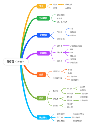 酵母菌（17-19）